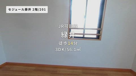 動画