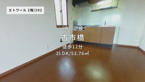 動画