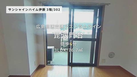 動画