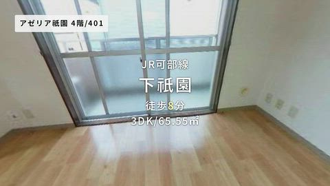 動画