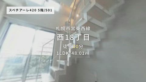 動画