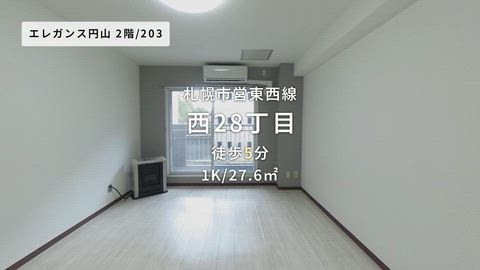 動画