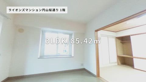 紹介ムービー