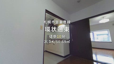 動画