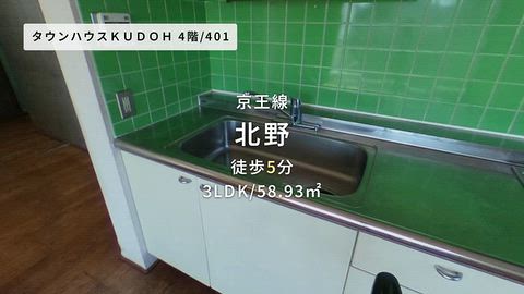 動画