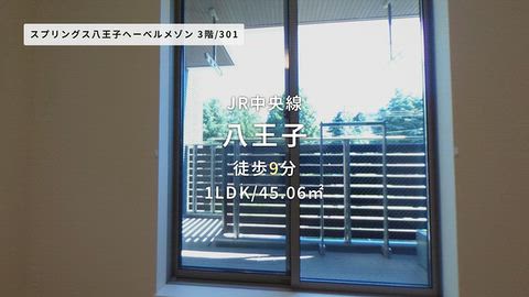 動画
