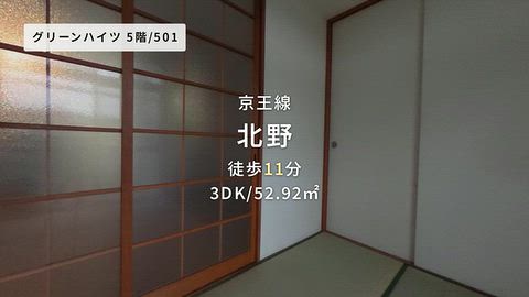 動画