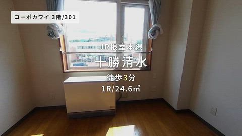 動画