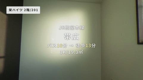 動画