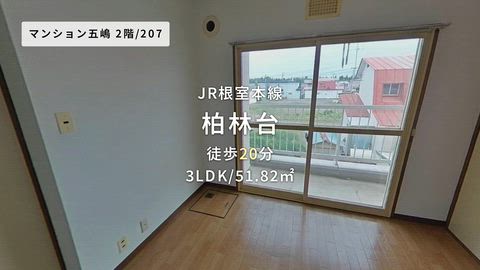 動画