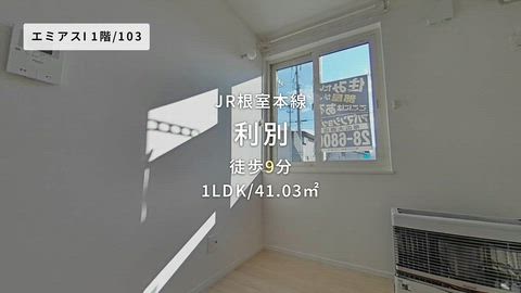 動画
