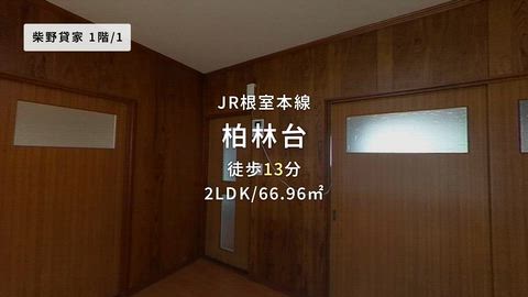 動画