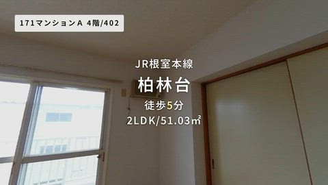 動画