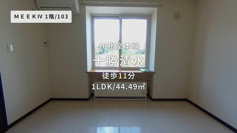 動画