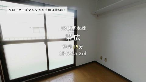 動画
