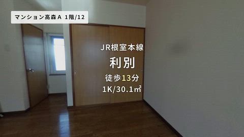 動画