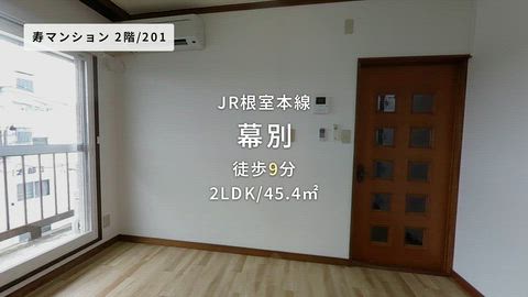 動画