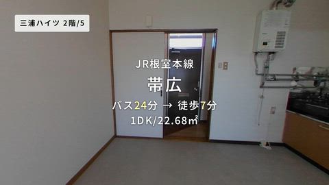 動画