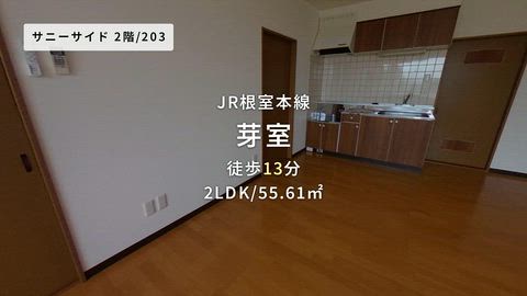 動画
