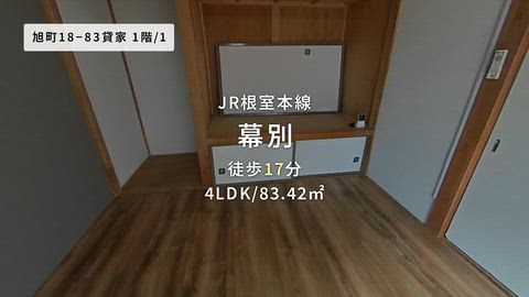 動画