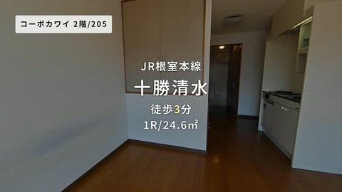 動画