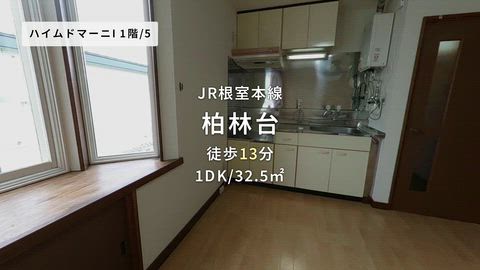 動画