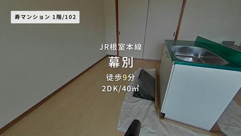 動画