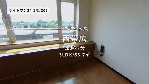 動画