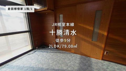 動画