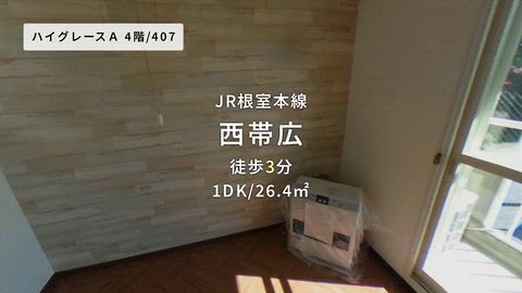 動画
