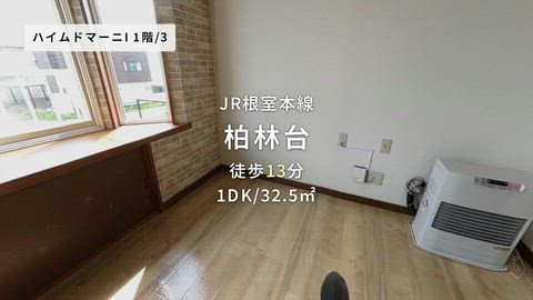 動画