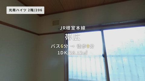 動画