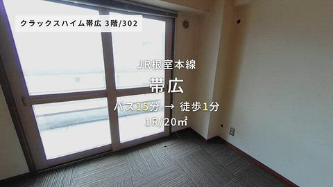 動画