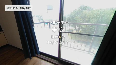動画