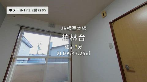 動画