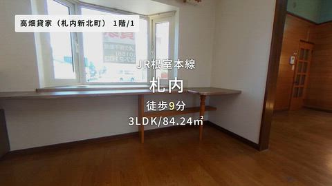動画