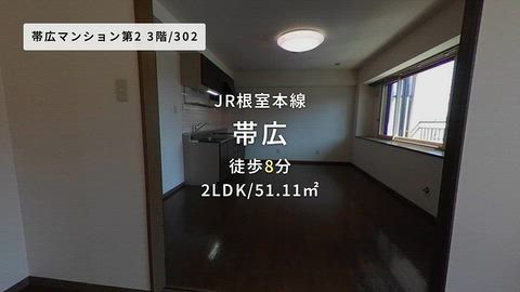 動画