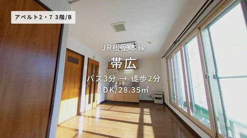 動画