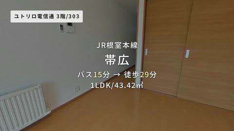 動画