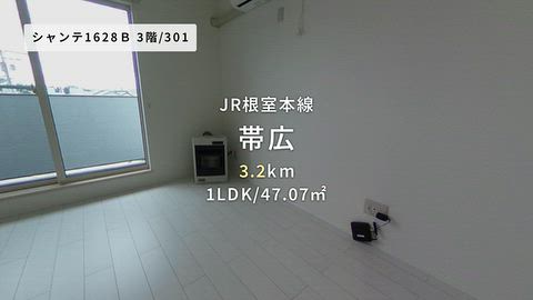 動画