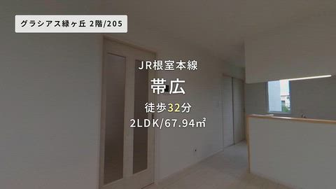 動画