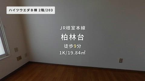 動画