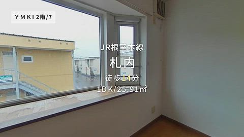 動画
