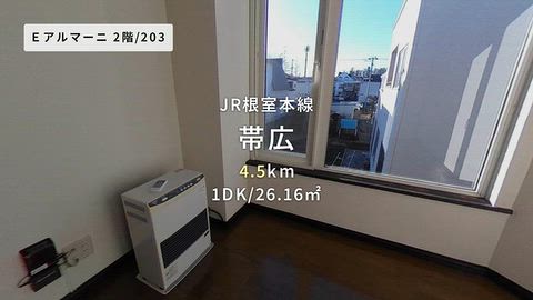 動画
