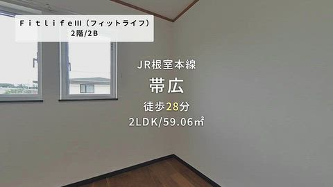 動画
