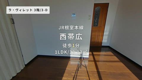 動画