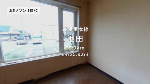 動画