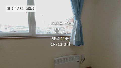 動画