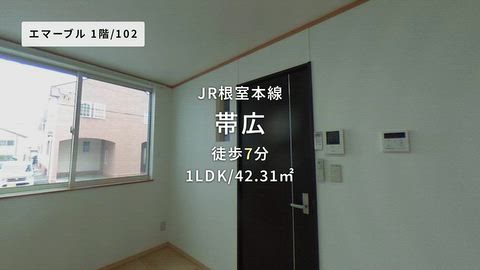 動画