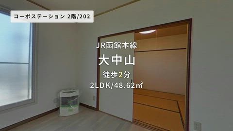 動画